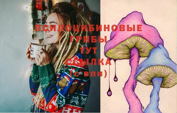 круглые Аркадак