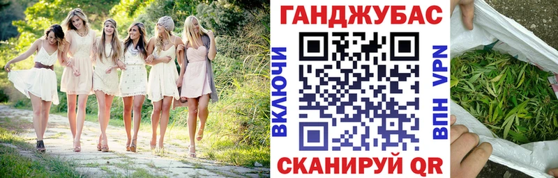 Конопля гибрид mega как войти Звенигово что такое
